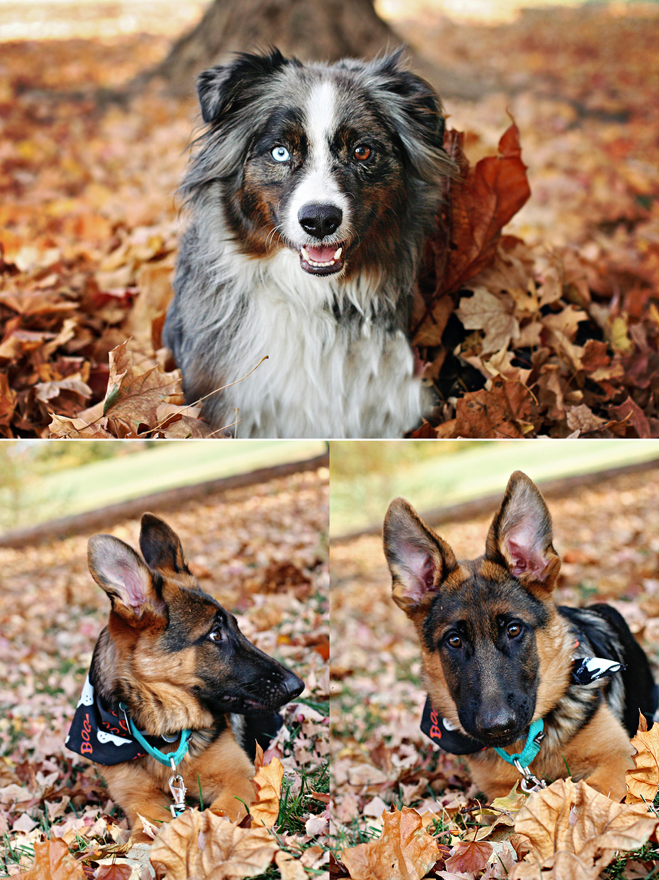 cooper1